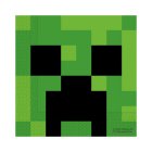 Ubrousky Minecraft 20 ks