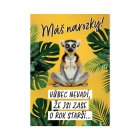 Hrací přání k narozeninám - Lemur