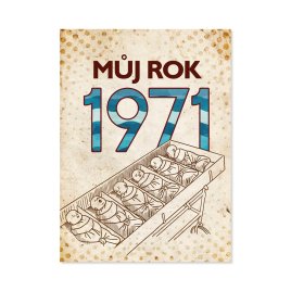 Kniha Můj rok 1971