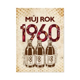 Kniha Můj rok 1960