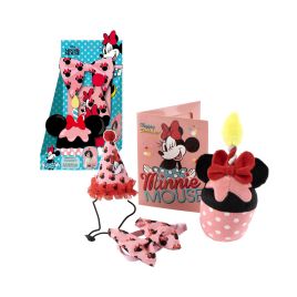 Párty set pro mazlíčka - Minnie