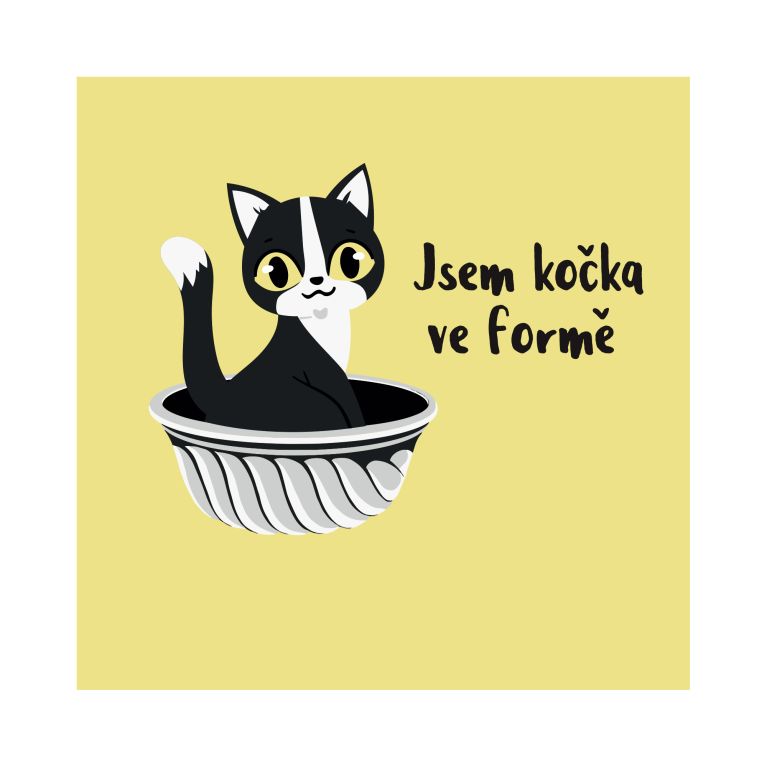                             Dámské tričko - Jsem kočka ve formě                        