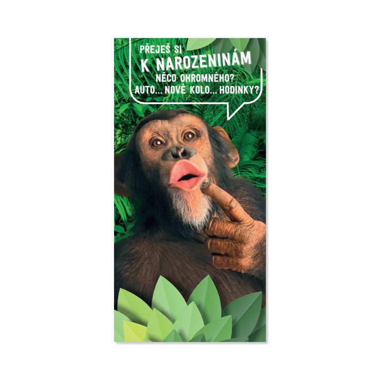 Obálka na peníze k narozeninám - Šimpanz                    