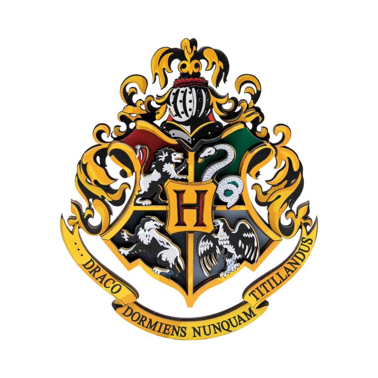                             Dřevěná magnetická stavebnice - Harry Potter: Erby                        