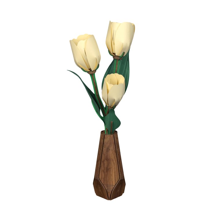 Dřevěný model - Tulipány                    