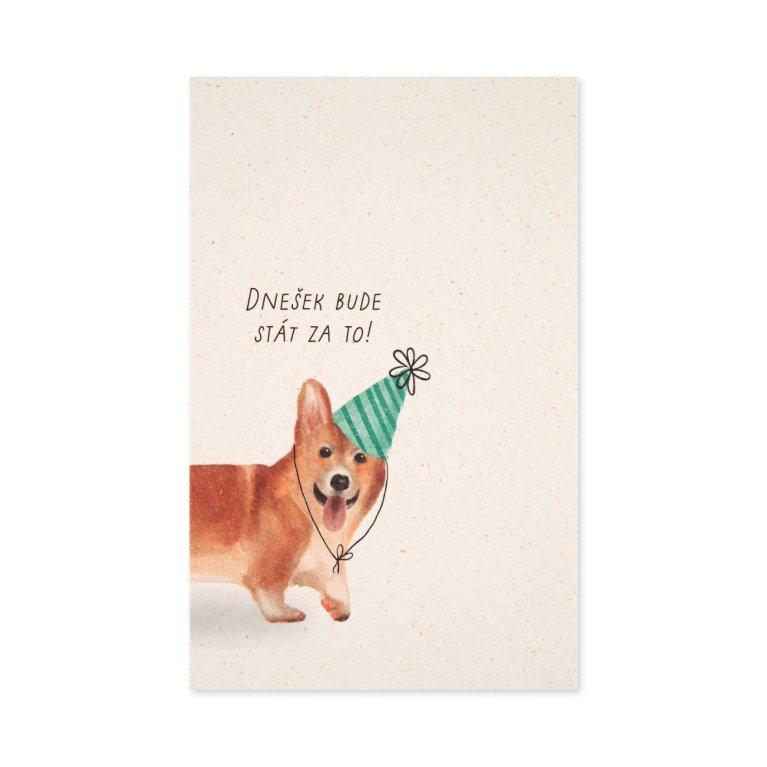 Přání k narozeninám - Corgi                    